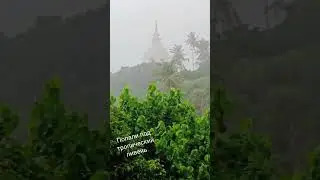 тропический ливень #shorts #srilanka #unawatuna #tropicalrain
