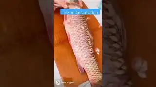 Fish scale remover