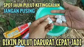 Dijamin lengket! Cara membuat pulut burung dari permen karet