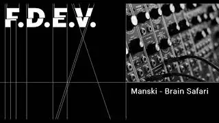 Manski - Brain Safari