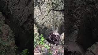 Tallest waterfall in Florida is 72ft located in falling waters state park. Only cost $5