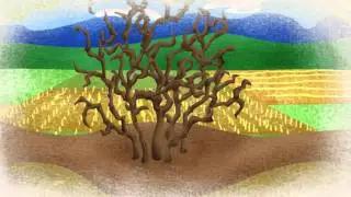 God is the Gardener