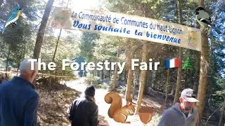 Forestry Fair in my village 🌲🇫🇷 !
