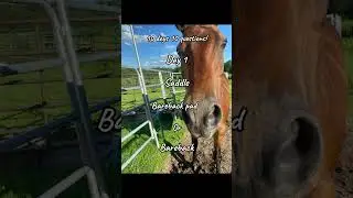 10 days 10 questions day 1! Bareback!