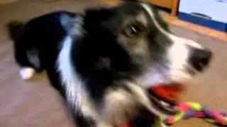 growln play.mov
