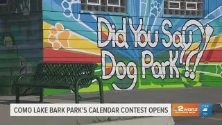 Como Lake Bark Park 2026 Calendar Contest