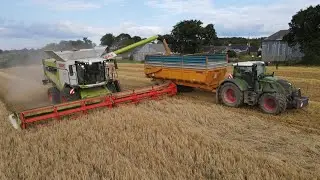 CLAAS LEXION 8600 | VARIO 1080 🌾