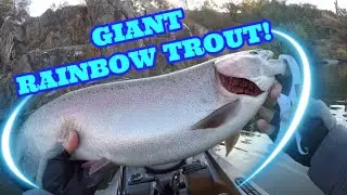 Catching Giant Rainbow Trout From Kayak (Old Town Sportsman PDL 120)