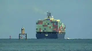 The State of Supply Chains in Australia