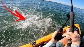 Targeting Giant Fish from a Kayak in the Big Blue