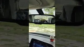 #brezza zxi plus top model rear view mirror auto dimming system, how it works