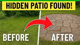 Massive Yard Clean-Up Reveal &mdash; I Found a Hidden Stone Patio! 😱