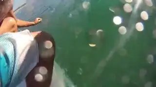 GoPro HD Wrist Housing Surfing