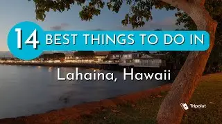 Things to do in Lahaina, Hawaii