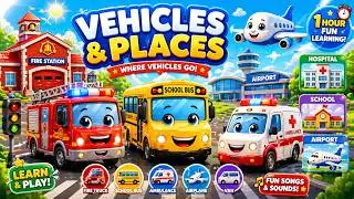 Toy Vehicles & Places 🚒🚑 | Where Vehicles Go | 1 Hour Toddler Learning | lullakids