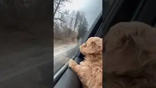Екологічно чиста мийка вашого авто - НЕ ДОРОГО😂