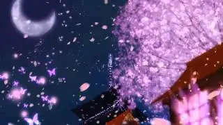 【Koji Plays】 零れ桜 Falling Sakura Petals