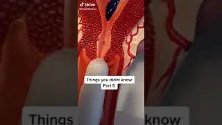 few menstruation facts you didnt know