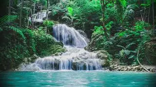Calm Oasis: Relaxation Music for Stress Relief and Deep Relaxation
