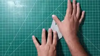 OPEN WINGED SWAN