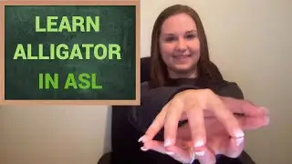 Alligator in ASL | EASY Alligator in ASL