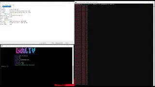 GUILTY BOTNET net nulling OVH