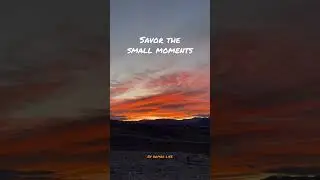 Are you living in the small moments? #rvnomad #fulltimerv #rvliving #shorts