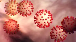 Covid-19 Evolution In Real time From Roylab stats