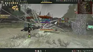 BDO Hexe Succ Ranger lv2 agris #blackdesertonline #blackdesert #검은사막 #헥세 #레인저 #레인져
