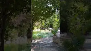 Desde la Riviera Maya #Tulum #Zamna #Mexico #Cenote #Viral Cenote Yax-Kin 🌊🌴☀️ #Caribe