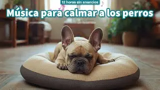 Música Para Dormir Perros 12 Horas Sin Anuncios | Sueño Profundo y Relajación / vol.12