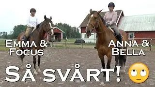 VI BYTER HÄSTAR MED VARANDRA - hoppning & dressyr