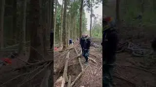 Mini DH - FOD #shorts #downhill #forestofdean
