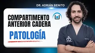 Ecograf&iacute;a y patolog&iacute;a del compartimento anterior de la cadera - DR. ADRI&Aacute;N BENITO