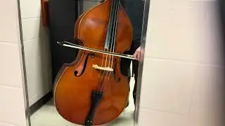 Sally Ann - old time fiddle tune on upright bass