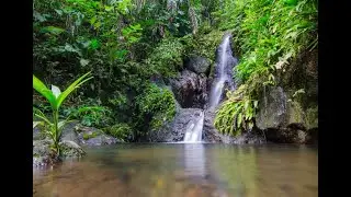 JCR Stream Walk (360 Video)