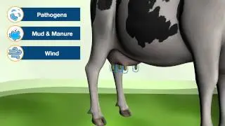 LactiFence