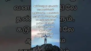 today's bible verse tamil #today #bibleverse #tamil #foryou #frombible