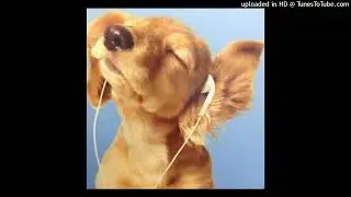 *free* serane + plugg type beat 
