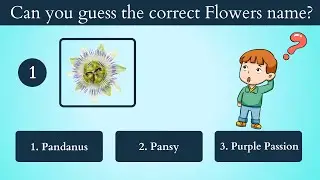 Can you guess the correct flower name - Part 2  | Test your brain |  10 Second Challenge