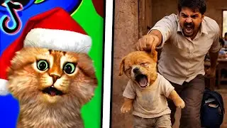 The FUNNIEST TikTok Videos #503 (DON'T LAUGH CHALLENGE 2025)