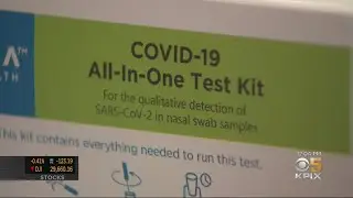 Bay Area Company Produces Accurate Home COVID-19 Test