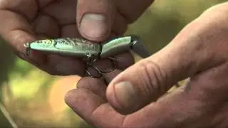 How to Choose a Bass Lure