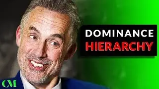Jordan Peterson's DOMINANCE HIERARCHY - How To RISE TO THE TOP!