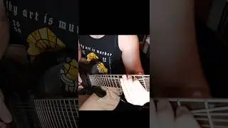 If Slayer plays 