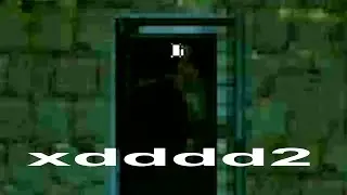 stalkerzy, nieśmiałek i trzech debili xd