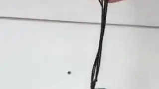 Kumpulan video Keiko spam
