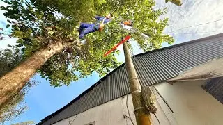  Nhóm Thiện Nguyện Chúng Tôi Cưa Cây Ráo Ngây Đường Dây Điện Quá Khó Đem Về Đóng Hòm Từ Thiện 