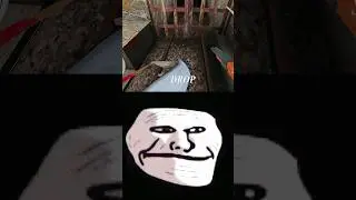 Granny Vs troll face #granny #grannymode #grannyop #gaming #trollface