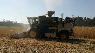 Direct harvest of miscanthus using pellet press Metitron 560